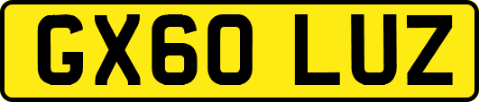 GX60LUZ