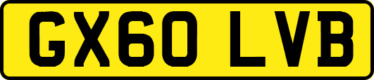 GX60LVB