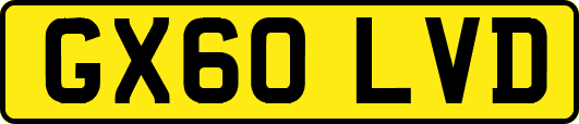 GX60LVD