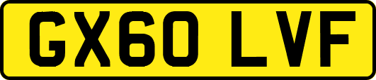 GX60LVF