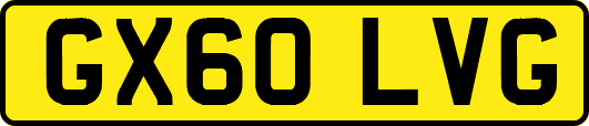 GX60LVG