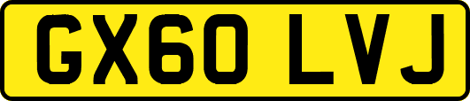 GX60LVJ