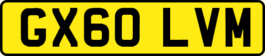 GX60LVM