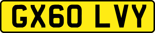 GX60LVY