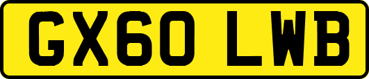 GX60LWB