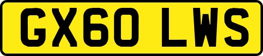 GX60LWS