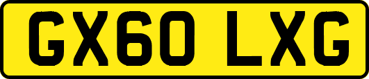 GX60LXG