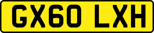 GX60LXH