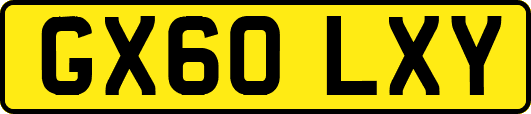 GX60LXY
