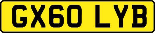 GX60LYB
