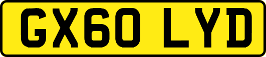 GX60LYD