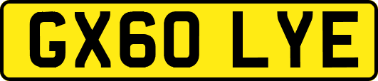 GX60LYE