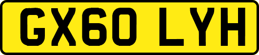GX60LYH