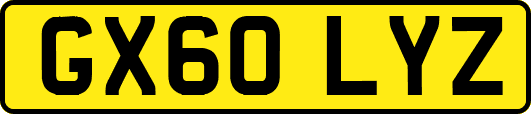 GX60LYZ