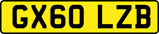 GX60LZB