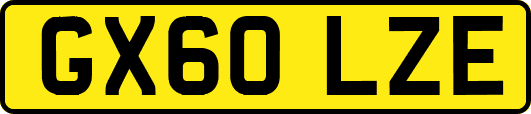 GX60LZE