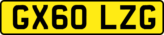GX60LZG