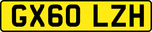 GX60LZH