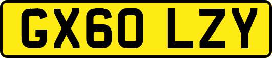 GX60LZY