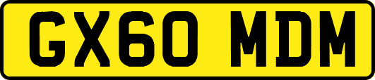 GX60MDM