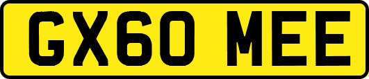 GX60MEE