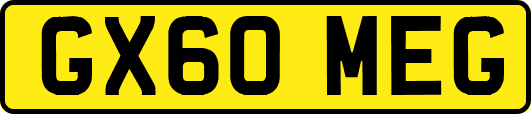 GX60MEG