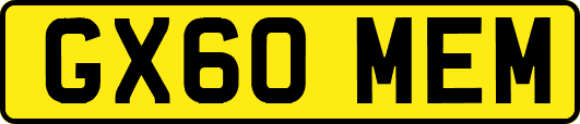 GX60MEM