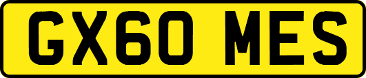 GX60MES