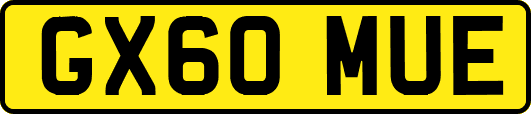 GX60MUE