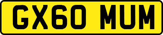 GX60MUM