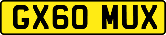 GX60MUX