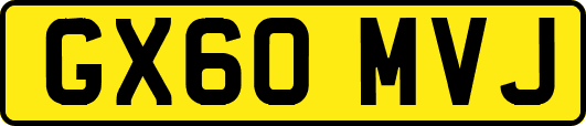GX60MVJ