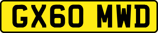 GX60MWD