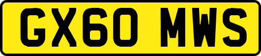 GX60MWS