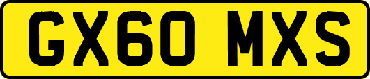 GX60MXS