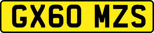 GX60MZS