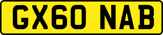 GX60NAB