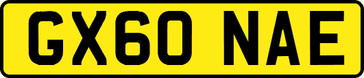 GX60NAE