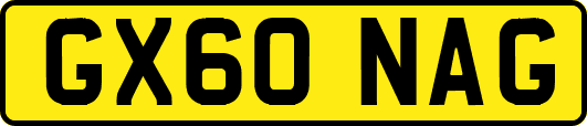 GX60NAG