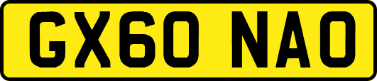 GX60NAO
