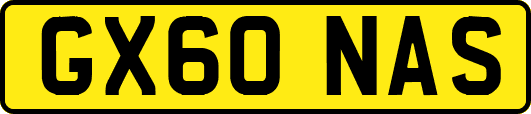 GX60NAS