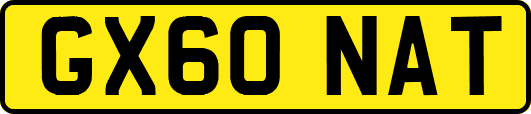 GX60NAT
