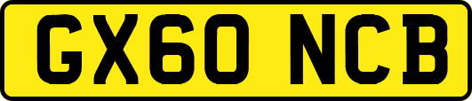 GX60NCB