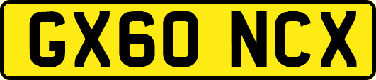 GX60NCX