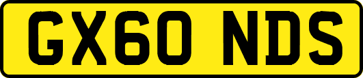 GX60NDS