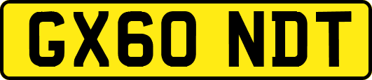 GX60NDT