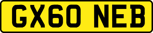 GX60NEB