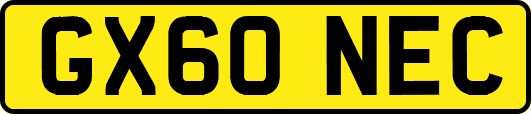 GX60NEC