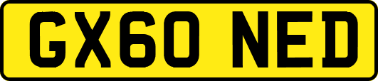 GX60NED