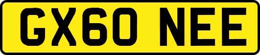 GX60NEE